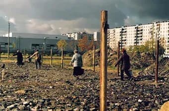 Участок с вбитыми столбами